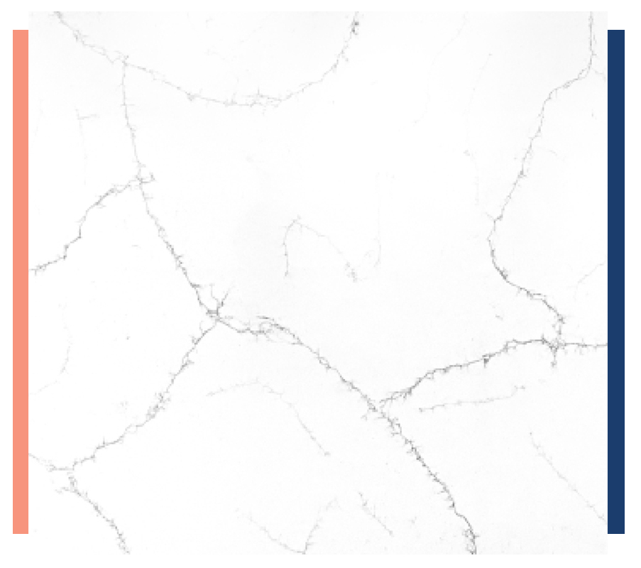 Favoloso-Series-Marble-Look